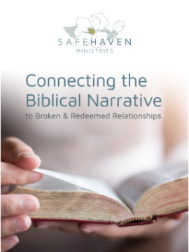 Connecting the Biblical Narrative booklet cover