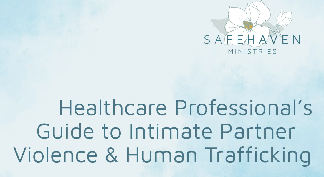 Cover of the Safe Haven healthcare professional's guide