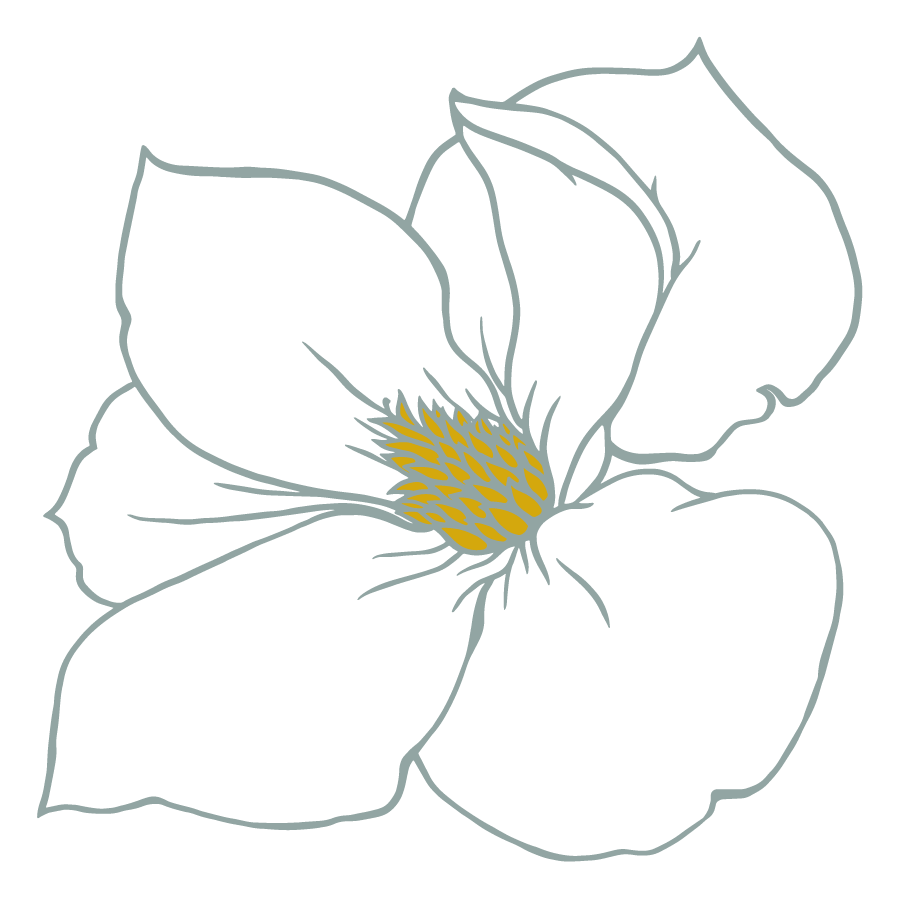 Magnolia icon