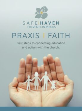 Praxis Faith First Steps Cover