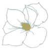 Magnolia icon